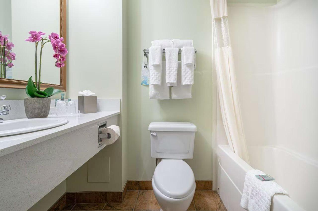 Service Inn&suites