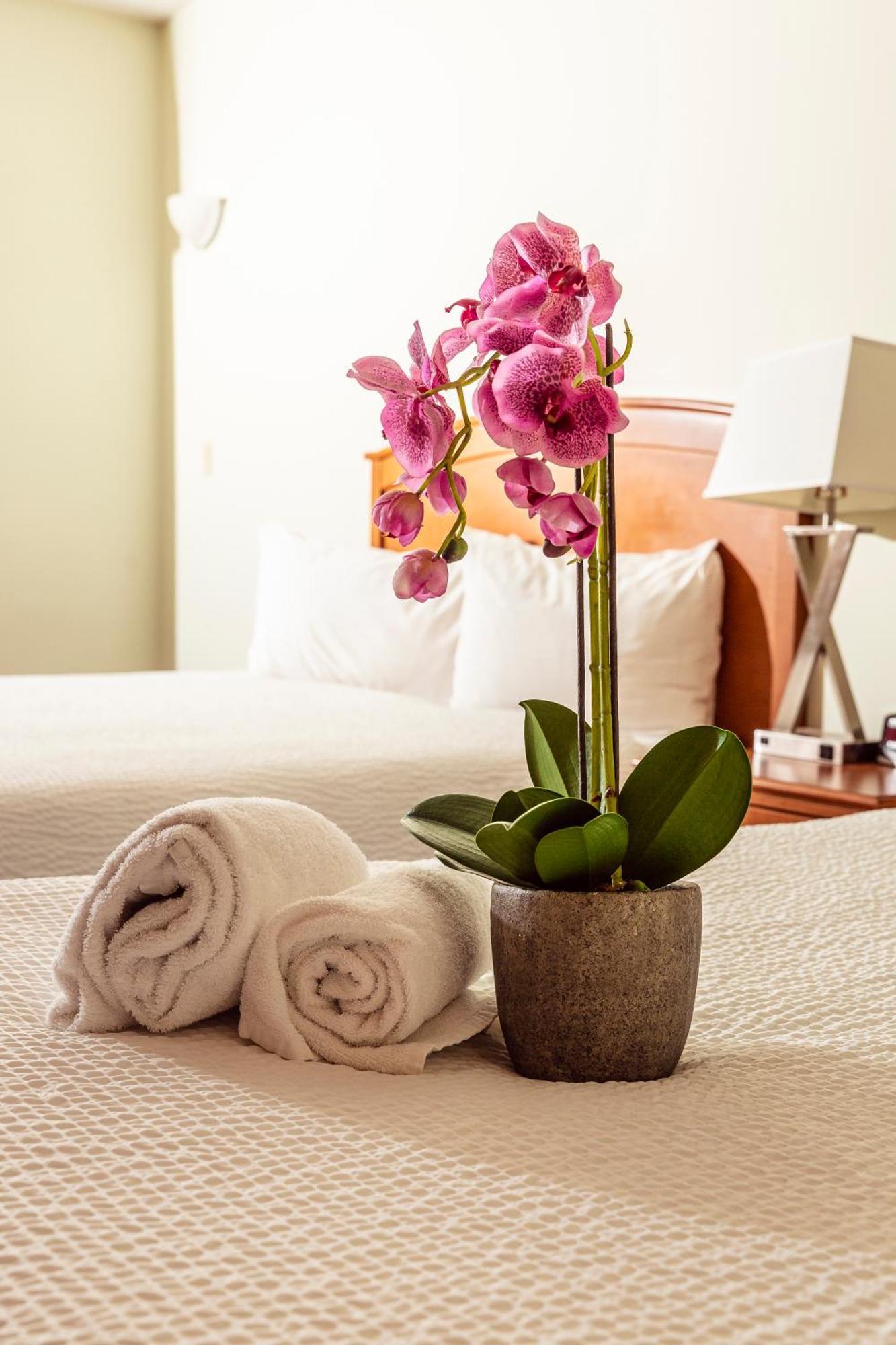 Service Inn&suites 3*